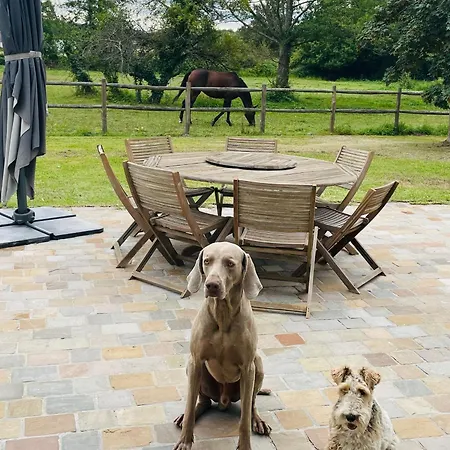 Spacieux Et Lumineux Dans Belle Dependance Avec Terrasse Privative, Parc Et Chiens Acceptes - Fr-1-410-412 La Flèche